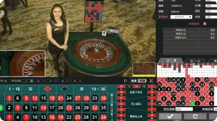 DG百家樂遊戲廳-輪盤